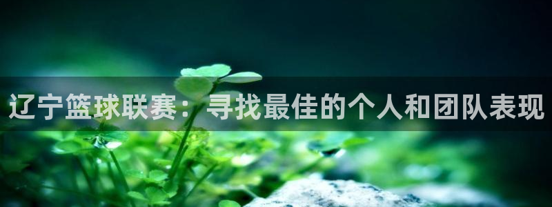 辽宁篮球联赛：寻找最佳的个人和团队表现